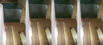 午夜伦理三级-日语中字免费手机观看